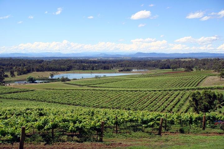 Private Hunter Valley Wine-Tasting Day Tour from Sydney - Grafton Accommodation